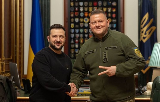 Владимир Зеленский, Валерий Залужный