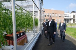 Президент Азербайджана принял участие в открытии Лянкяранского Государственного Центра профобразования