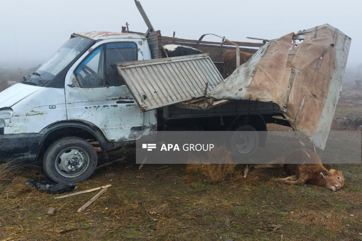 Обнародовано состояние пострадавших в цепной аварии в Гаджигабуле – ФОТО-ВИДЕО-ОБНОВЛЕНО 