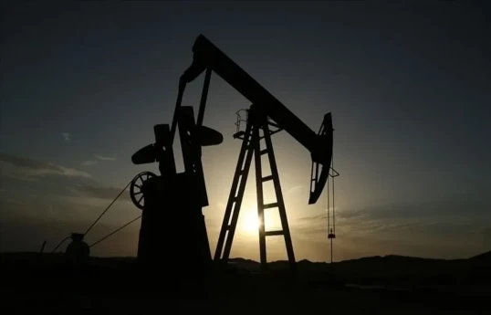 Ряд европейских компаний обратились к США за разрешением на экспорт нефти из Венесуэлы