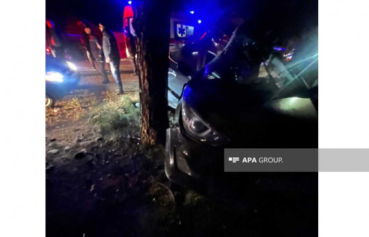 В Шамкире легковой автомобиль врезался в дерево, есть погибший -ОБНОВЛЕНО-2-ФОТО 