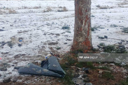 В Шамкире легковой автомобиль врезался в дерево, есть погибший -ОБНОВЛЕНО-2-ФОТО 