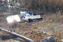 Установлены личности погибшего и пострадавших в ДТП с микроавтобусом в Самухском районе -ФОТО-ОБНОВЛЕНО-5 