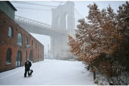 Число погибших в результате снежной бури в США достигло 18 человек -ОБНОВЛЕНО 