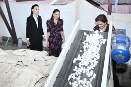 Лейла Алиева ознакомилась с деятельностью ОАО «Азерипек»