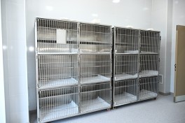 Лейла Алиева приняла участие в открытии регионального отделения Центра заботы о бездомных животных в Евлахе