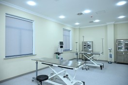 Лейла Алиева приняла участие в открытии регионального отделения Центра заботы о бездомных животных в Евлахе
