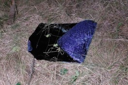 В результате ДТП в Масаллы погибли 2 человека, ещё двое пострадали