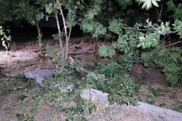 В результате ДТП в Масаллы погибли 2 человека, ещё двое пострадали