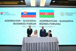 В Баку прошёл азербайджано-словацкий бизнес-форум -ФОТО-ОБНОВЛЕНО 