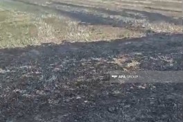 В Агдаме на бывшей линии соприкосновения продолжается пожар-ФОТО-ОБНОВЛЕНО-1 