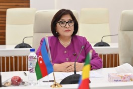 Председатель Милли Меджлиса встретилась с руководителем Палаты народных представителей Эфиопии-ФОТО 