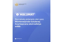 Объявленный в международный розыск был задержан в Монтенегро и экстрадирован в Азербайджан