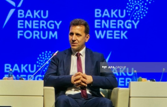 Заместитель министра энергетики Болгарии Кирилл Темелков