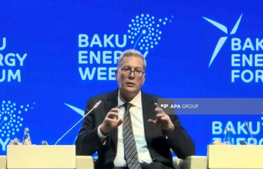 Министр нефти и минеральных ресурсов Египта Карим Бадави