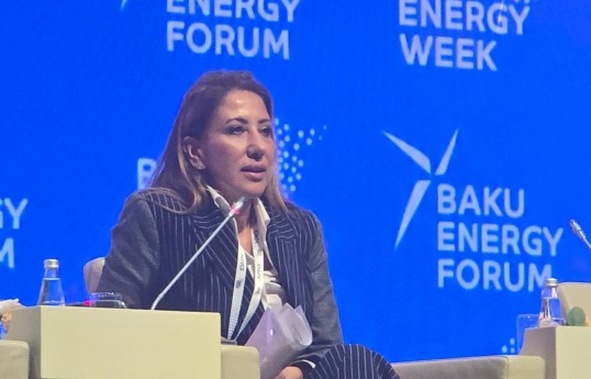 руководитель энергетического направления по Евразии в Европейском банке реконструкции и развития (ЕБРР) Суле Кылыч