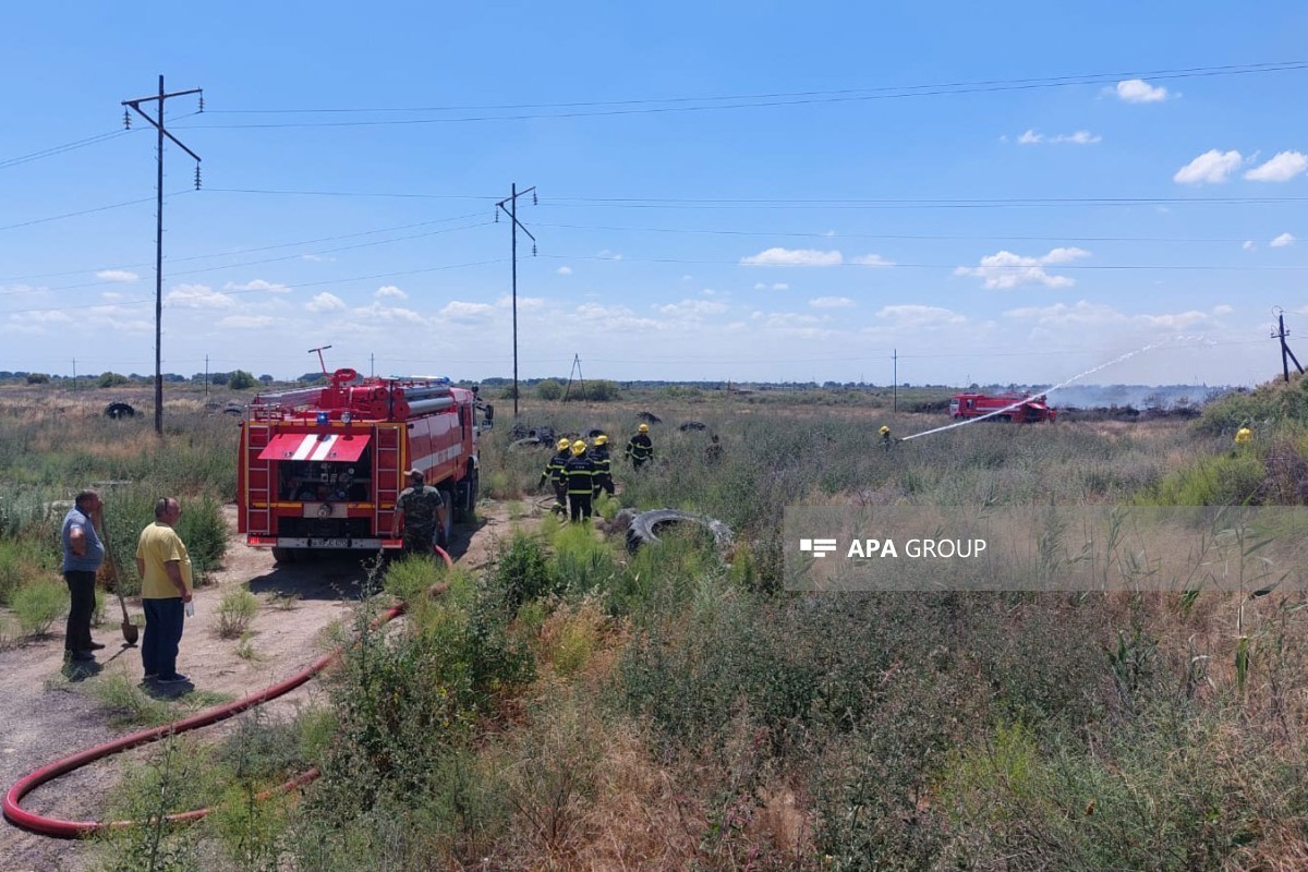 В Гаджигабульском районе вспыхнул пожар на открытой местности - <span class="red_color">ОБНОВЛЕНО