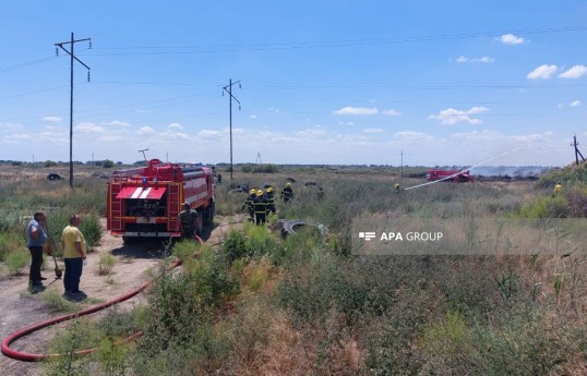 Пожар на открытой местности в Гаджигабульском районе потушен - ОБНОВЛЕНО-1 