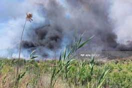 В Гаджигабульском районе вспыхнул пожар на открытой местности - ОБНОВЛЕНО 
