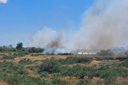 В Гаджигабульском районе вспыхнул пожар на открытой местности - ОБНОВЛЕНО 