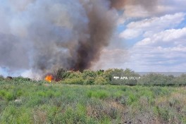 В Гаджигабульском районе вспыхнул пожар на открытой местности - ОБНОВЛЕНО 