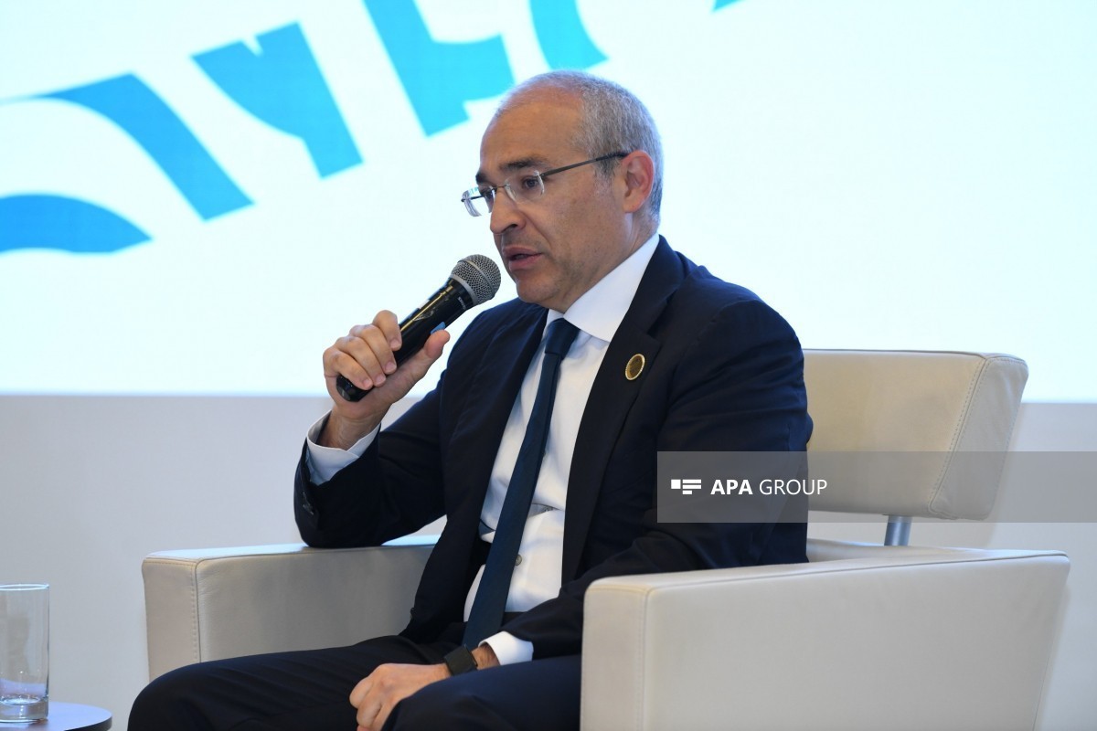 министр экономики Микаил Джаббаров