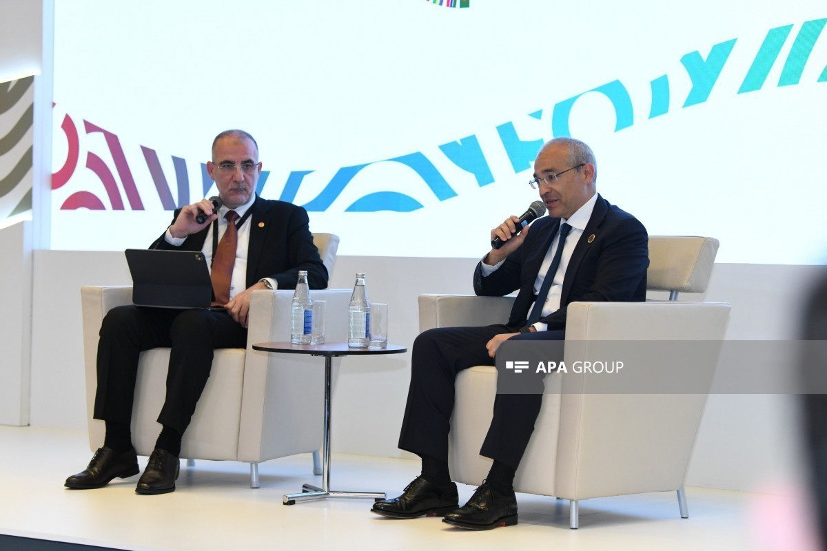 Министр: Зангезурский коридор повысит эффективность Среднего коридора