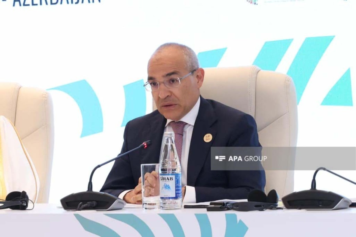 министр экономики Азербайджана Микаил Джаббаров