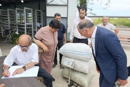 В Ходжалы впервые за 34 года осуществлена заготовка коконов шелкопряда - ФОТО 
