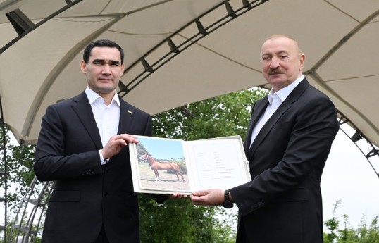 Президенту Туркменистана подарили карабахского скакуна