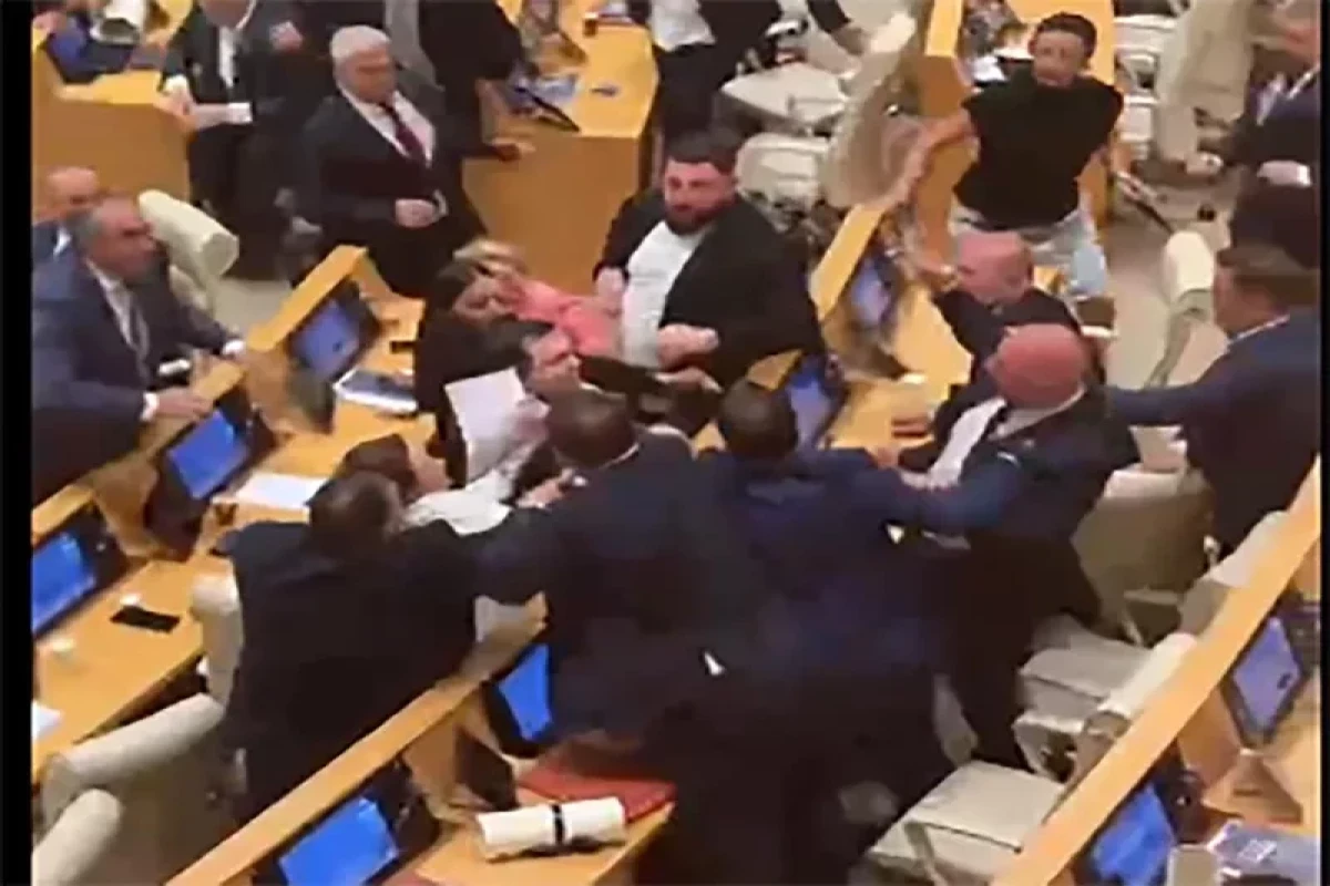 На заседании парламента Грузии произошла драка — ФОТО 