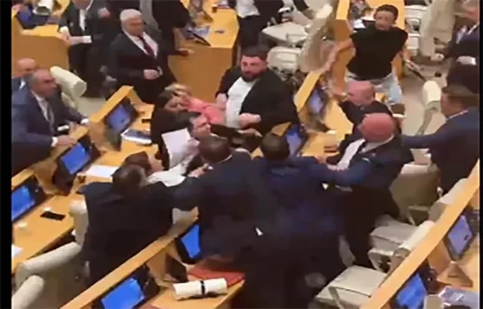 На заседании парламента Грузии произошла драка — ФОТО 