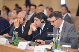 В Баку прошла международная конференция на тему пропавших без вести лиц — ФОТО — ОБНОВЛЕНО 
