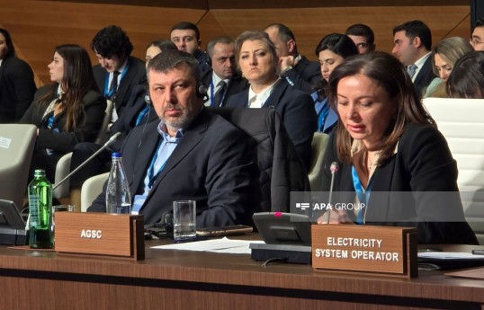 Лидия Салахова: В прошлом году в ЕС было поставлено 12 млрд кубометров газа