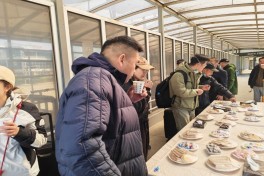 Число эвакуированных из Ирана через границу Азербайджана превысило 900 человек-ФОТО-ОБНОВЛЕНО-1 