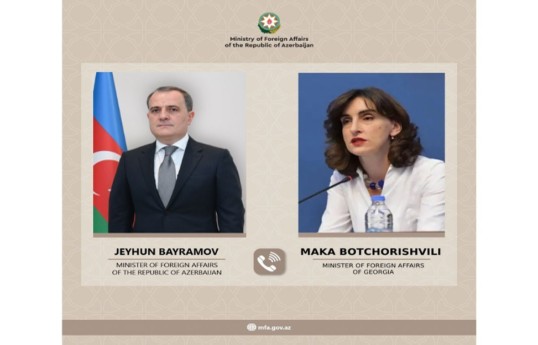 Глава МИД Грузии выразила обеспокоенность атакой иранских дронов на Азербайджан
