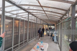 Сотрудники посольства Италии и граждане Китая эвакуированы из Ирана через азербайджанскую границу - ФОТО 
