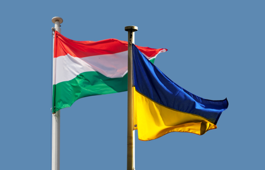 Задержанные в Венгрии граждане Украины будут выдворены из страны