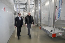 Президент Ильхам Алиев принял участие в открытии животноводческого комплекса «Ширван Агро» в Шамахы