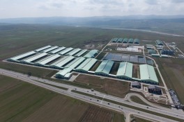 Президент Ильхам Алиев принял участие в открытии животноводческого комплекса «Ширван Агро» в Шамахы