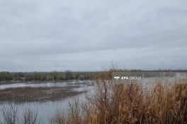Спасены 4 члена одной семьи, оказавшиеся в беспомощном состоянии на реке Кура — ОБНОВЛЕНО 