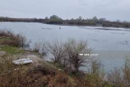 Спасены 4 члена одной семьи, оказавшиеся в беспомощном состоянии на реке Кура — ОБНОВЛЕНО 