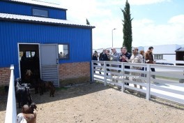 Представители дипломатического корпуса ознакомились с производственными предприятиями в Лачине-ФОТО 