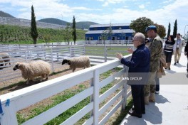 Представители дипломатического корпуса ознакомились с производственными предприятиями в Лачине-ФОТО 
