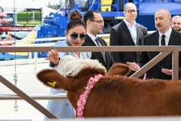 Президент ознакомился с 19-й выставкой Caspian Agro Week и 31-й выставкой InterFood Azerbaijan -ОБНОВЛЕНО 