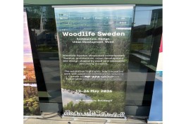 В Баку в рамках WUF13 открылась выставка «WOODLIFE SWEDEN» -ФОТО 