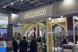 Азербайджан был представлен в XVII Казанском международном экономическом форуме