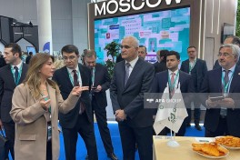 Азербайджан был представлен в XVII Казанском международном экономическом форуме