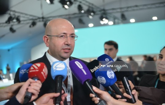 Председатель Государственного комитета Азербайджана по градостроительству и архитектуре Анар Гулиев