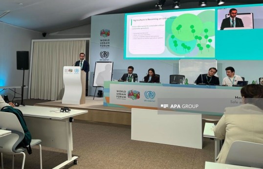 Гендиректор Grand Agro Invitro: Устойчивые города не могут существовать без устойчивого сельского хозяйства